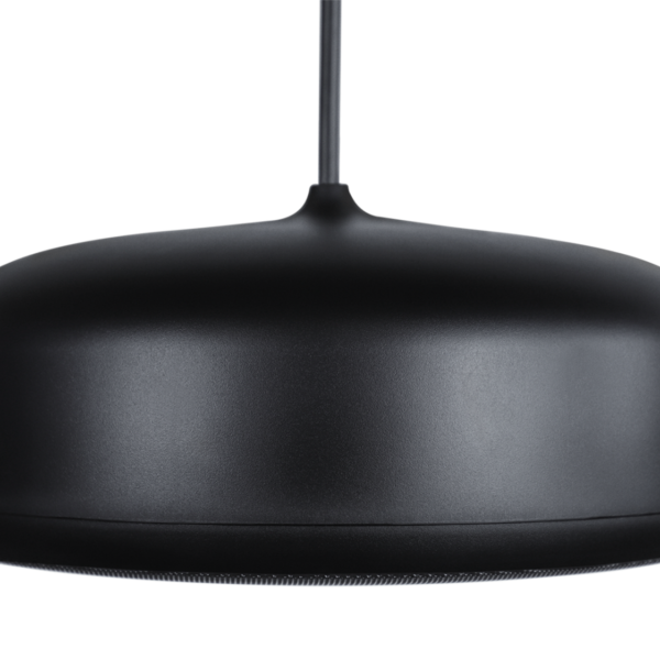 Biamp Desono P6-SM Black Pendant, indoor/outdoor 6.5-inch coaxial loudspeaker, sunshine profile, black (priced insectionidually, sold in pairs)