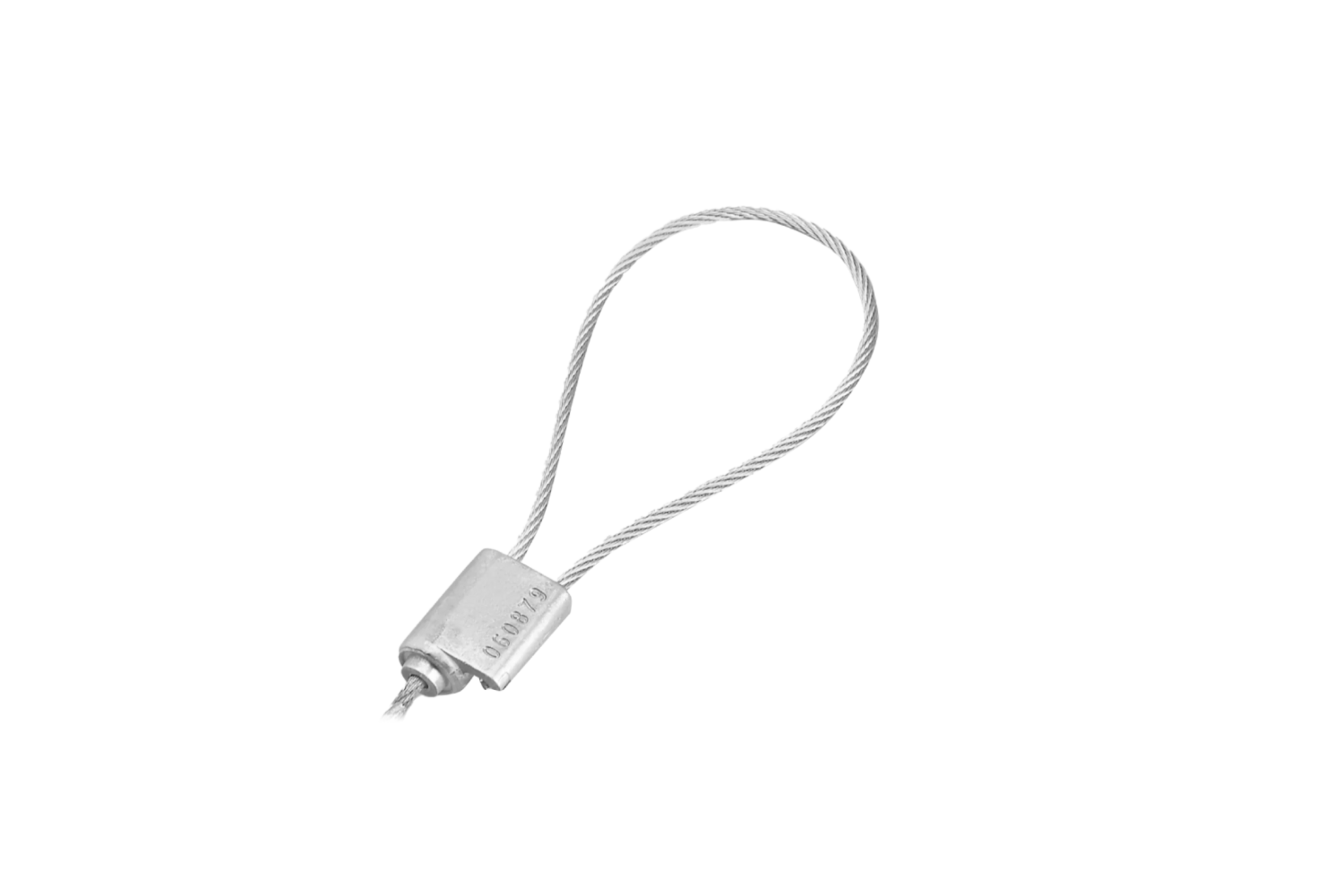 SPA-SCC100_10-Pack_1500x1000_11668_master Biamp Commercial Loudspeakersl SPA-SCC100 10 Pack Safety cable kit for Commercial drop ceiling loudspeakers, 10 pack - obrazek 1